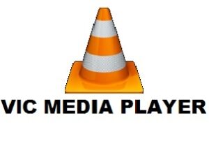 vlc download manager