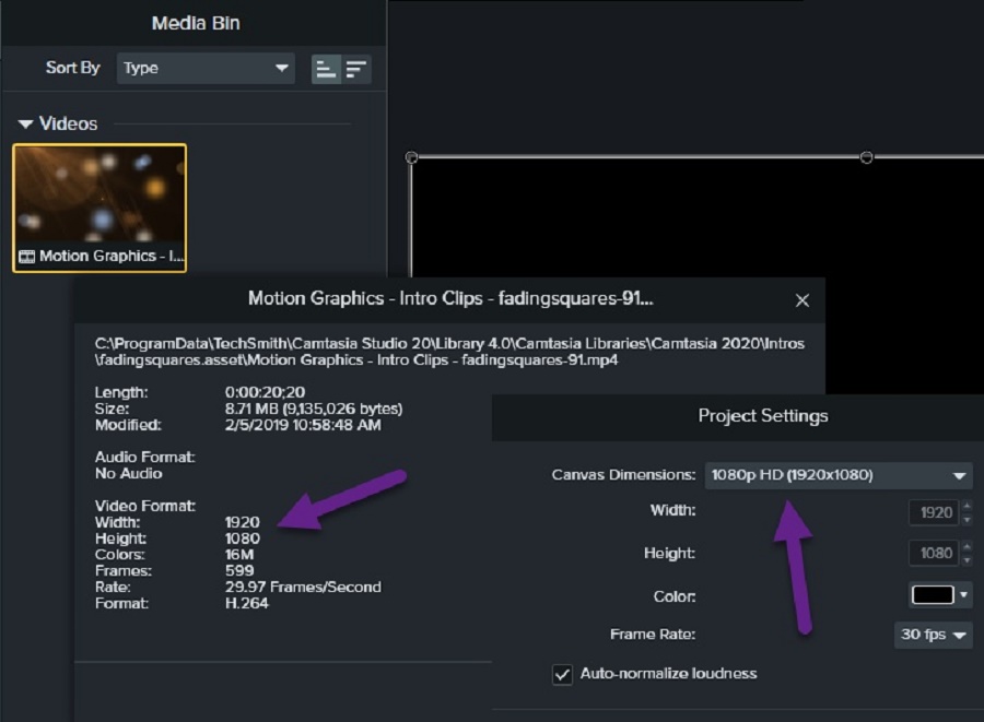 camtasia 2019 serial number