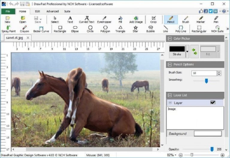 NCH DrawPad Pro 10.43 instal the new version for windows